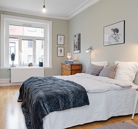 卧室风水有哪些适合摆放植物