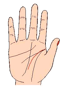 智慧线过分幼弱